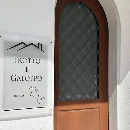 Trotto E Galoppo * Arezzo